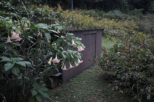 瀬戸の内海
