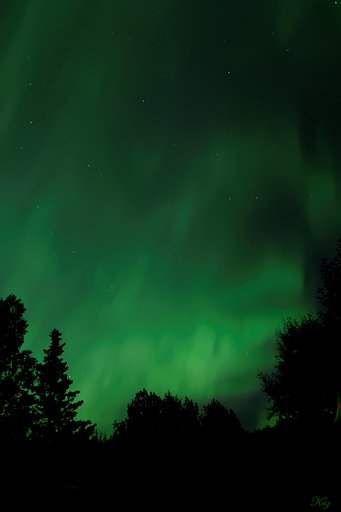 Northern Lights