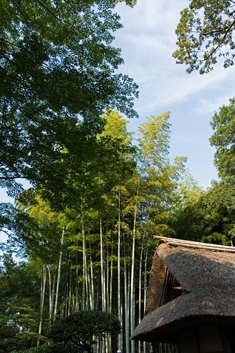 EF-S 15-85mm F3.5-5.6 IS USM