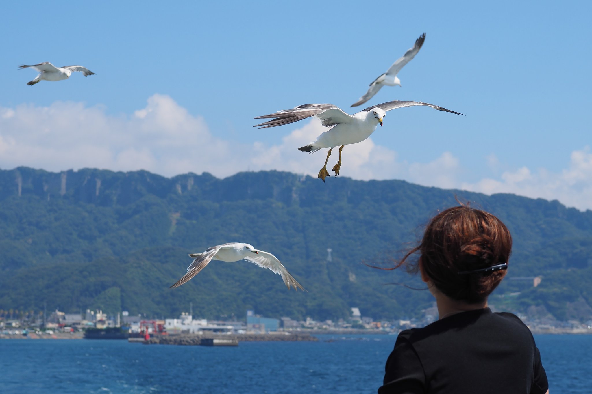 追っかけ