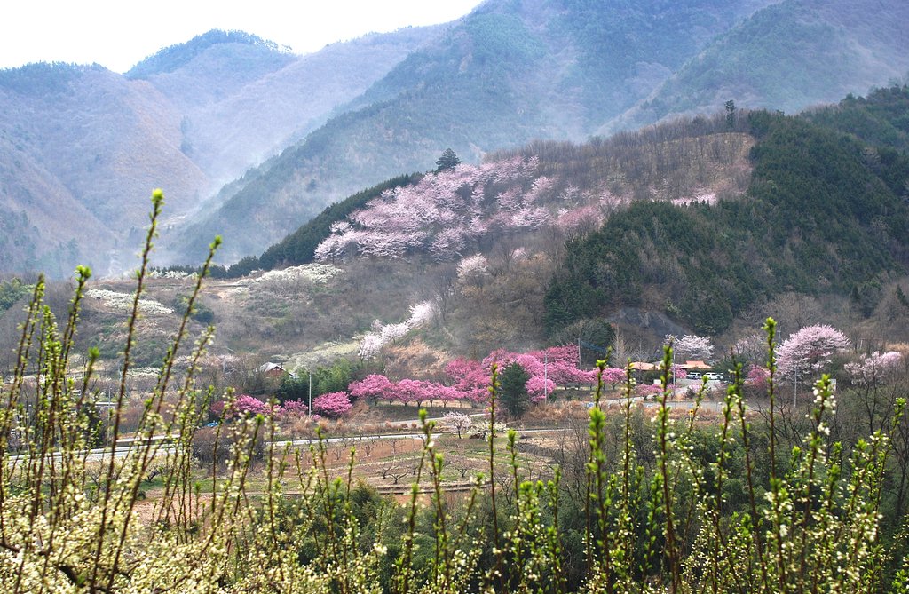 桃源郷
