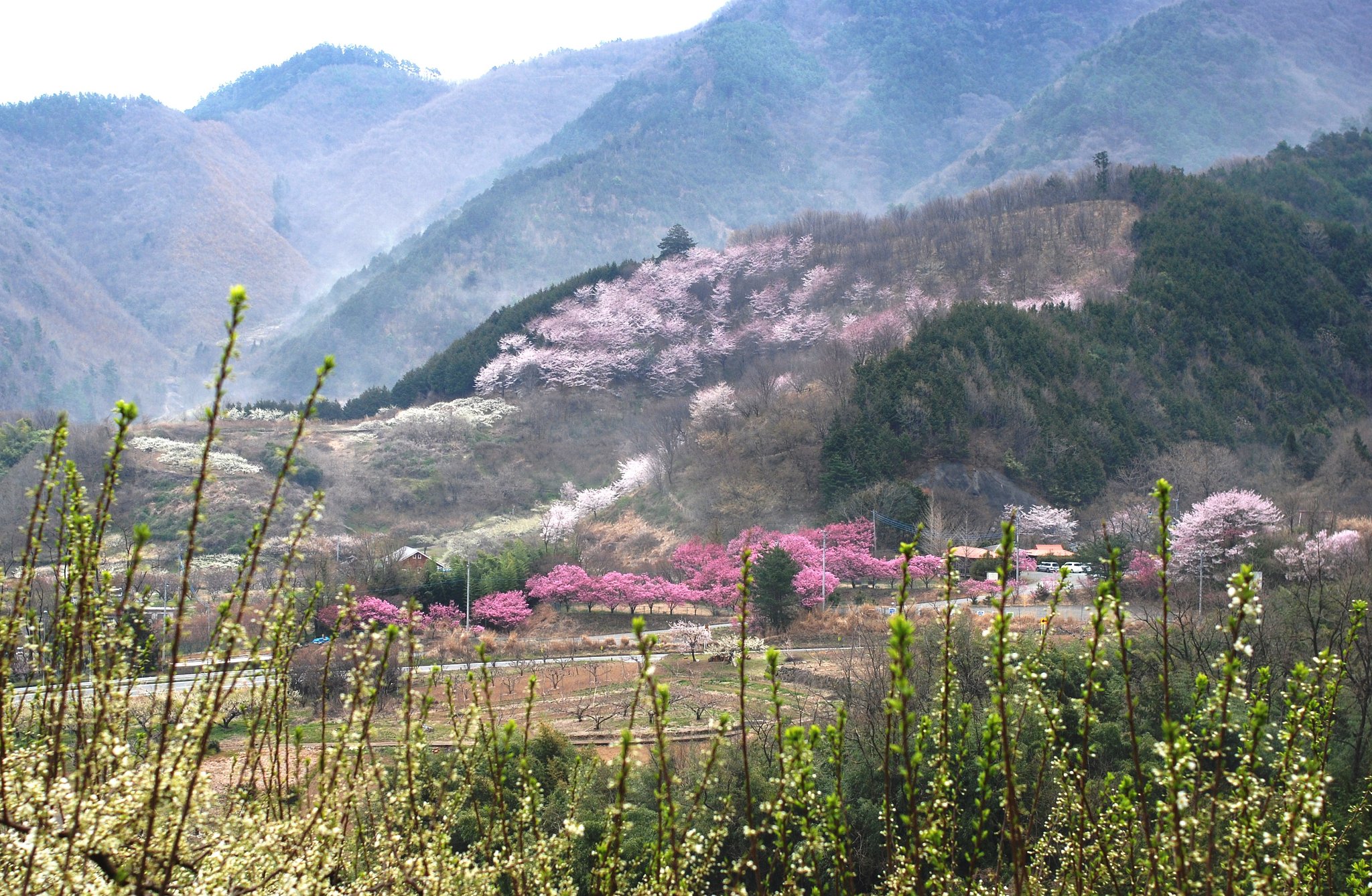 桃源郷