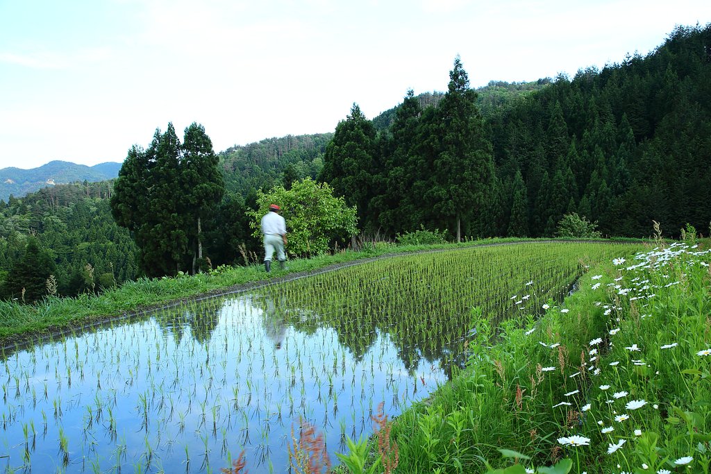 湖西にて