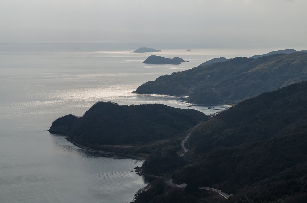 光る海