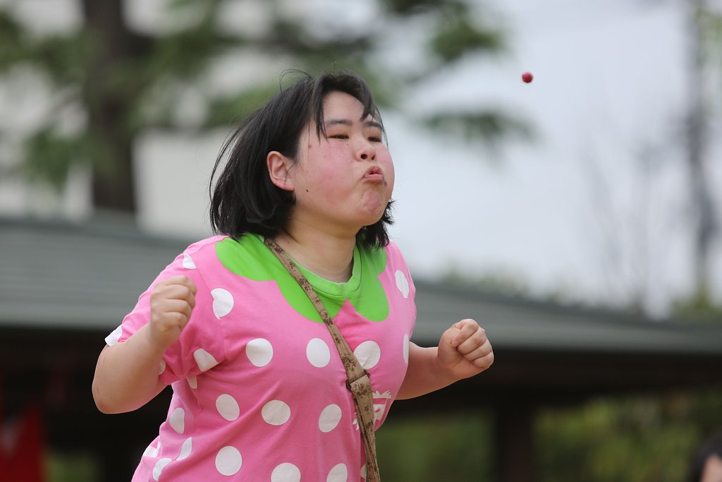 梅まつり　横綱