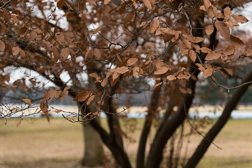 TAMRON 28-300mm F3.5-6.3 VC