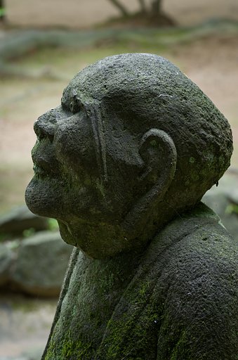 PENTAX-D FA MACRO 100mmF2.8 