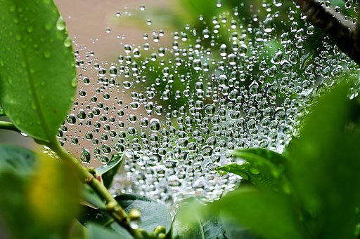 【フリー】雨の日もまた楽し