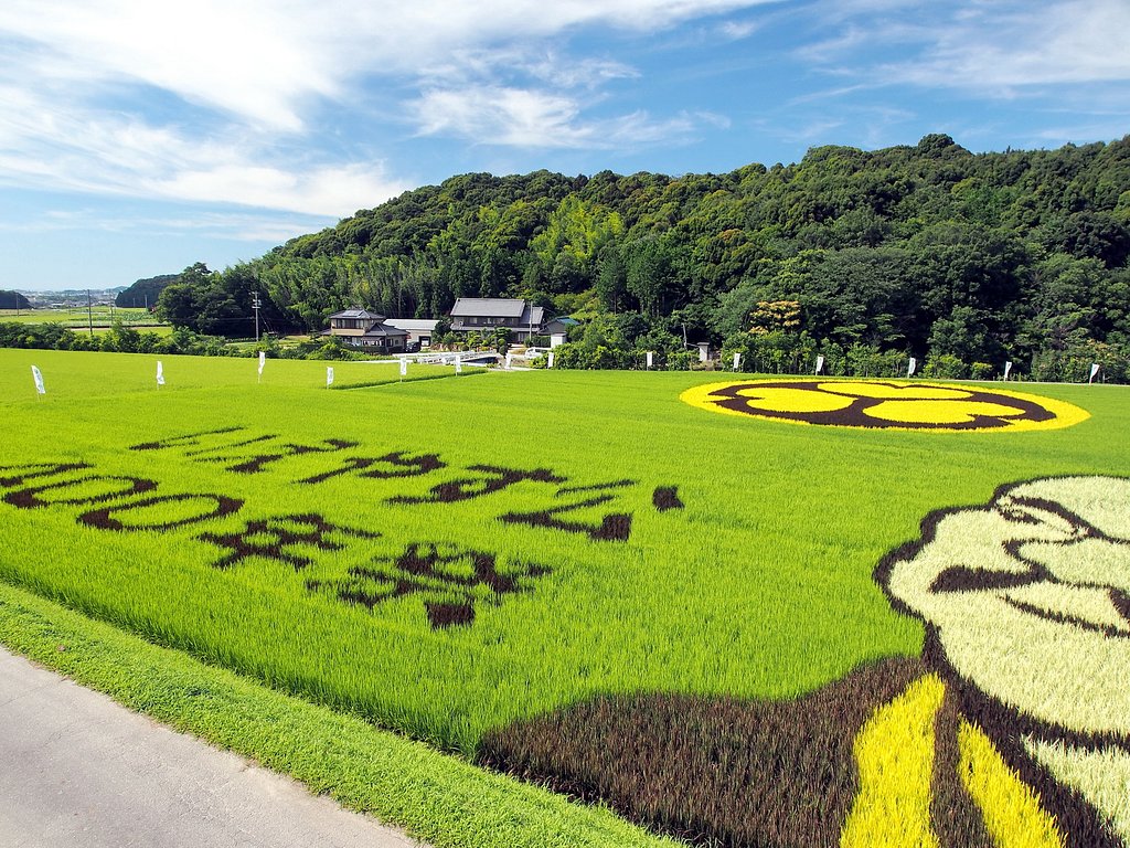 田んぼアート