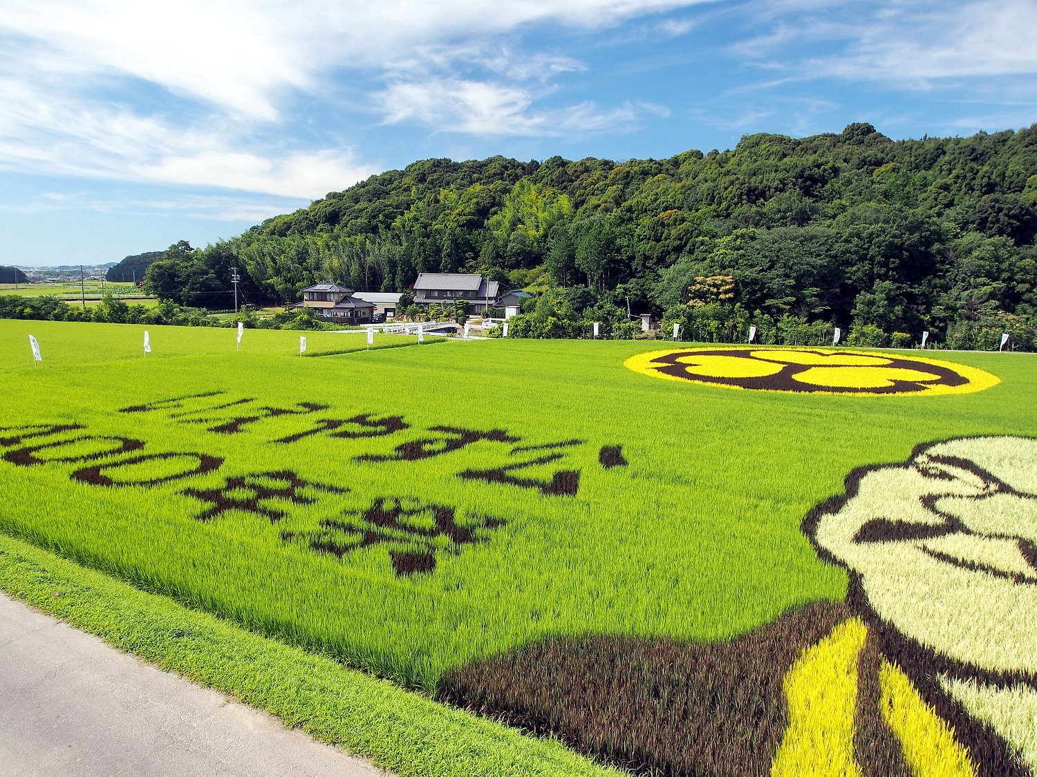 田んぼアート