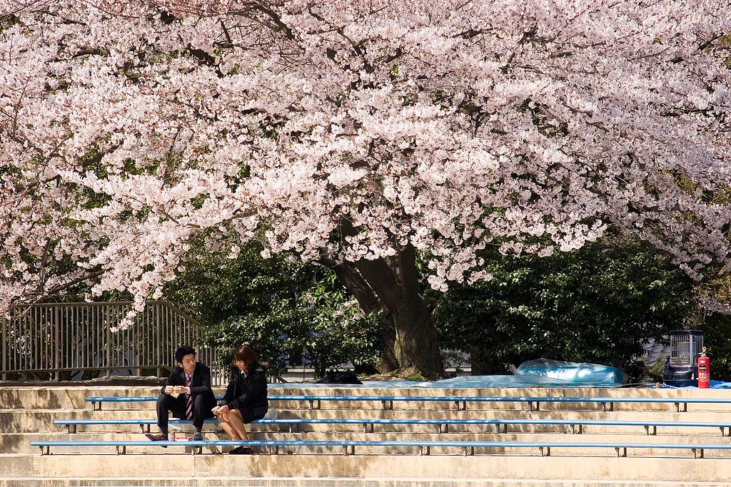 【出】芽生え？