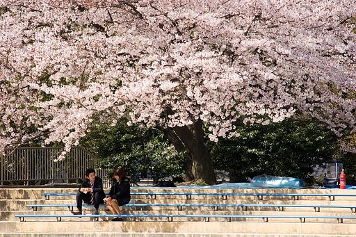 【出】芽生え？