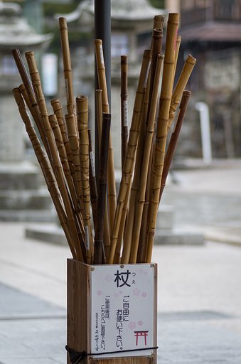 杖
