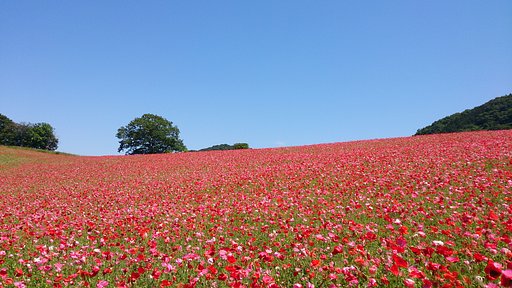 8月のお題係の募集