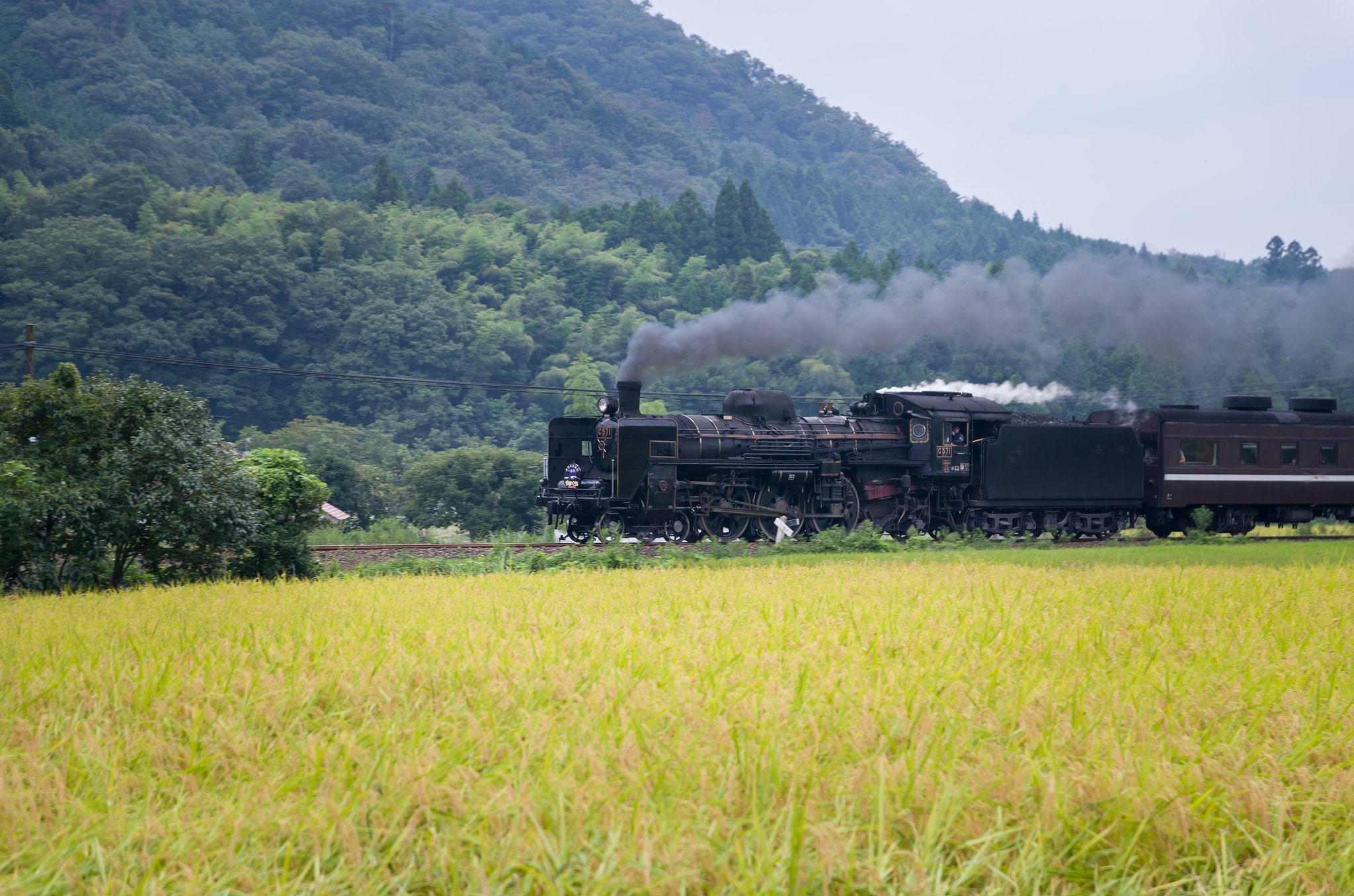 SIGMA 17-70mm F2.8-4 DC MACRO 