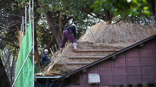 蘆花邸、茅葺屋根の葺き替え 