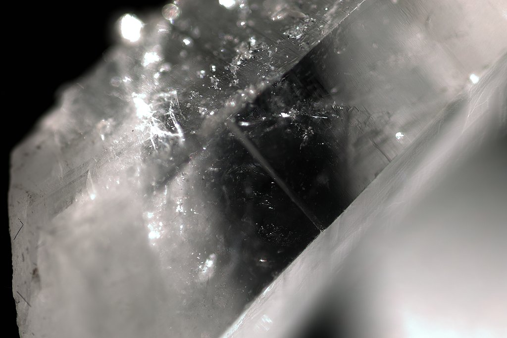 LENS:TAMRON SP MF 90mm F2.8 1:1 MACRO [72B]