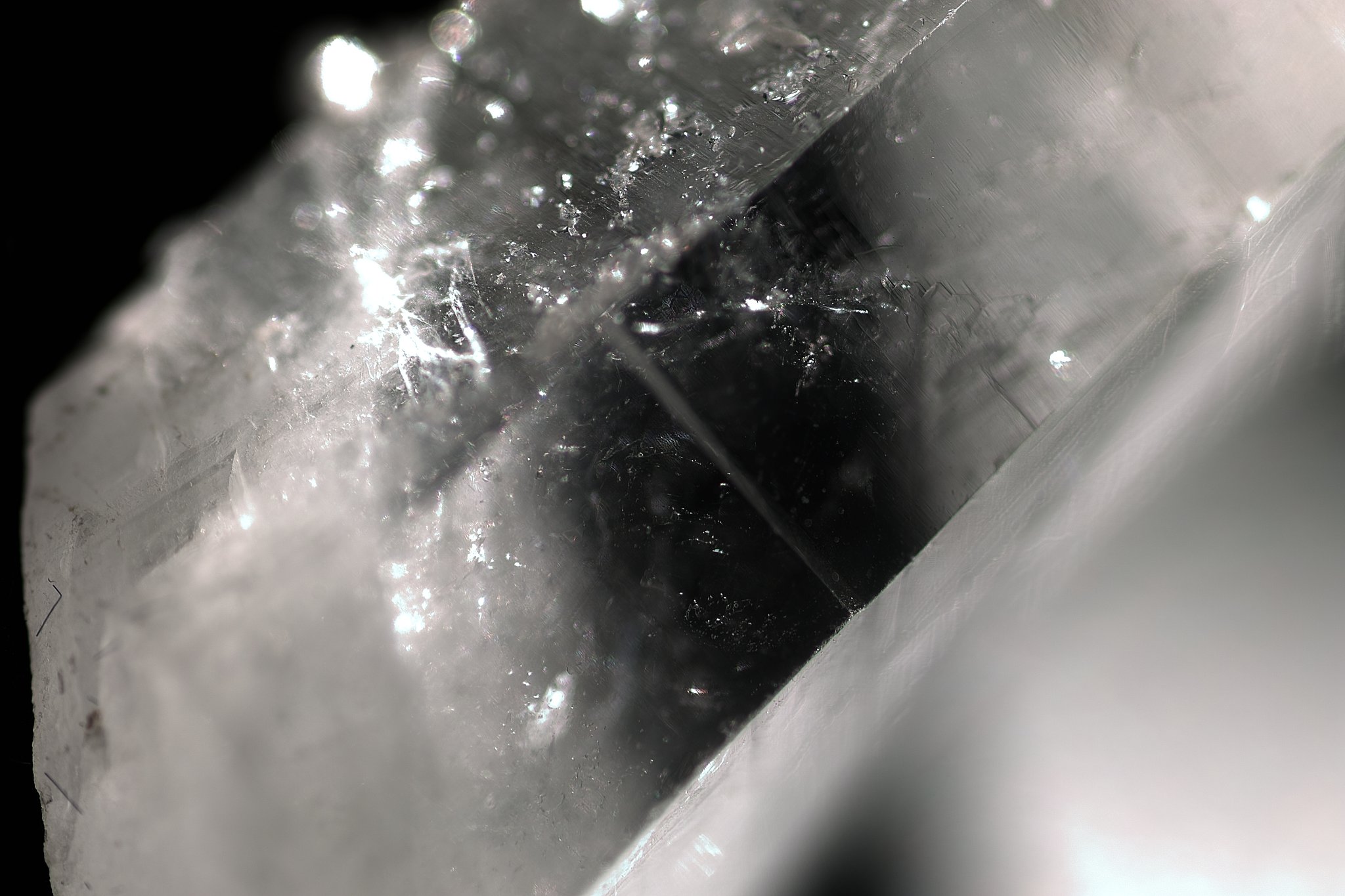 LENS:TAMRON SP MF 90mm F2.8 1:1 MACRO [72B]