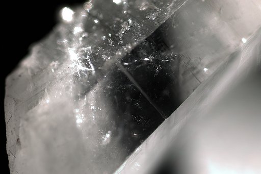 LENS:TAMRON SP MF 90mm F2.8 1:1 MACRO [72B]