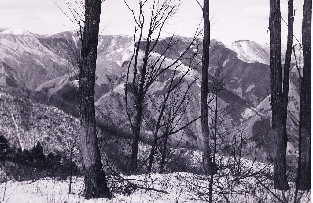 雪景色