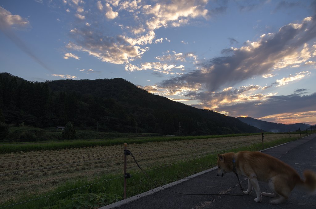 秋の夕暮れ!