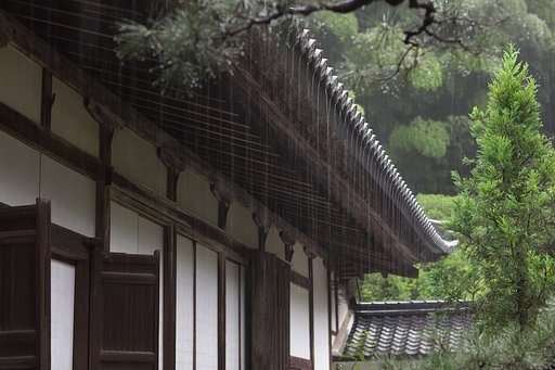 雨の禅寺