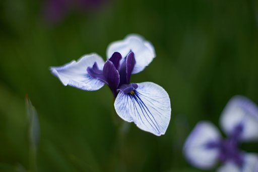 Planar 1:1.4 f=55mm