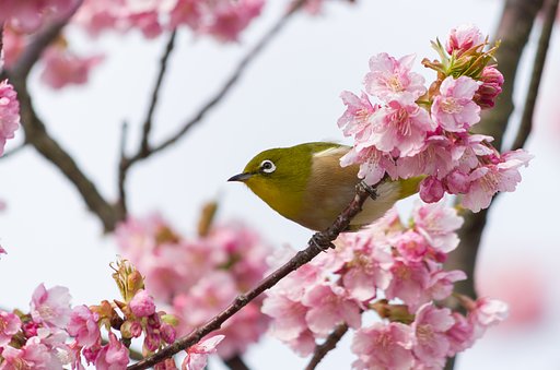 揺れる