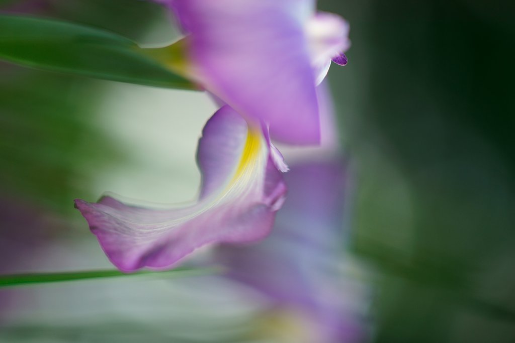 Sonnar 135mm F1.8 ZA