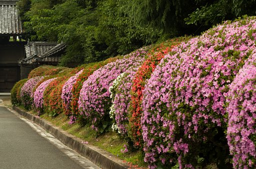 御屋敷