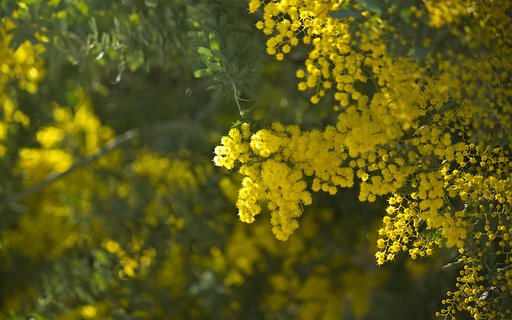 春の光いっぱい
