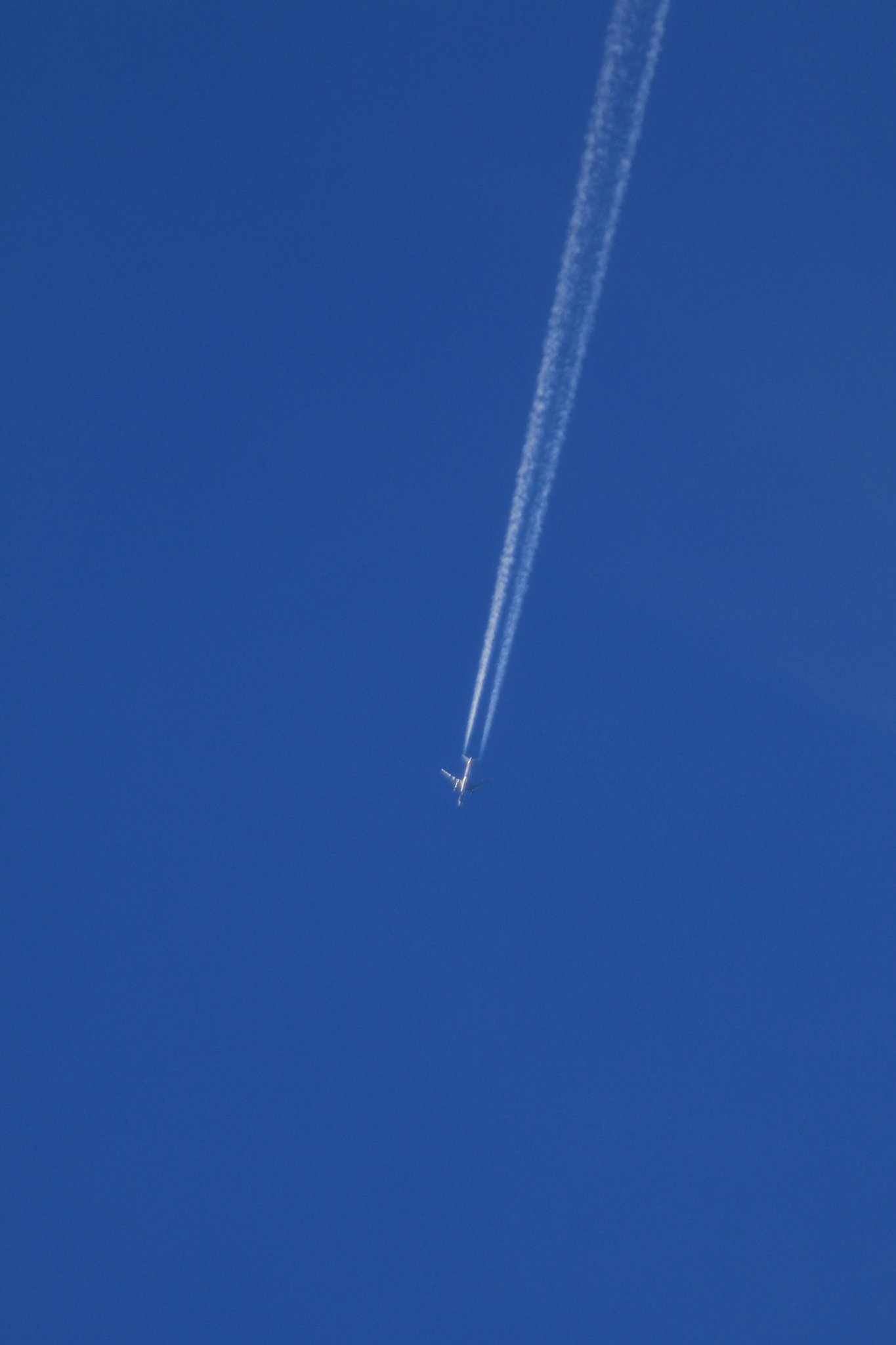 【動感】飛行機雲
