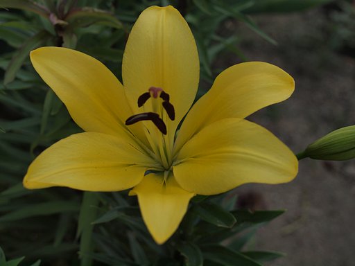 5月27日の写真