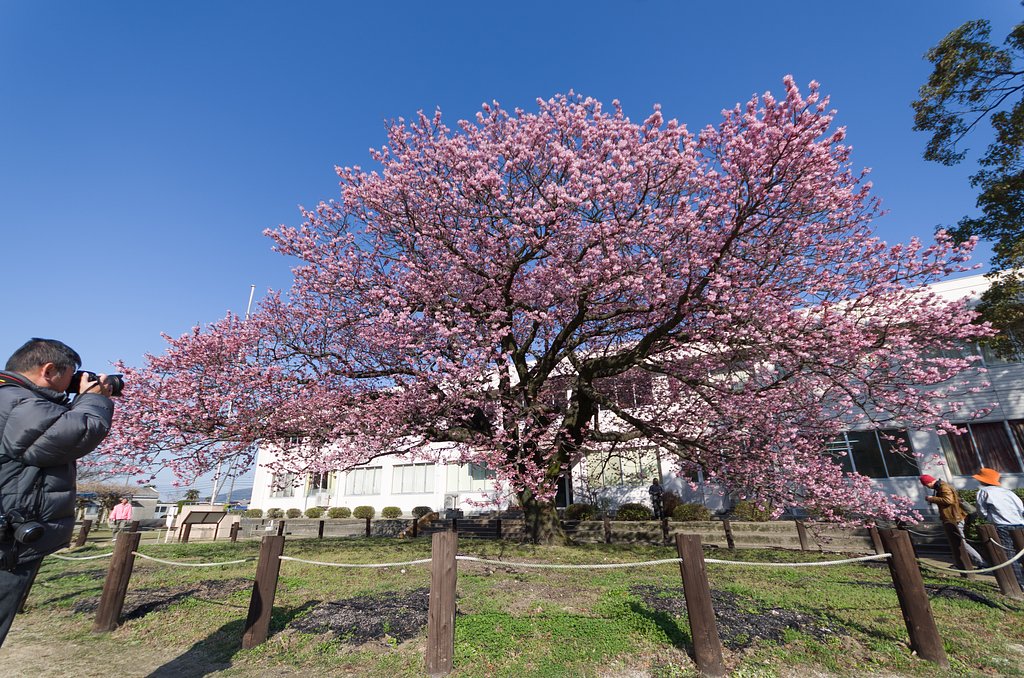 SIGMA 10-20mm F4-5.6