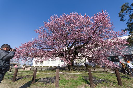 SIGMA 10-20mm F4-5.6