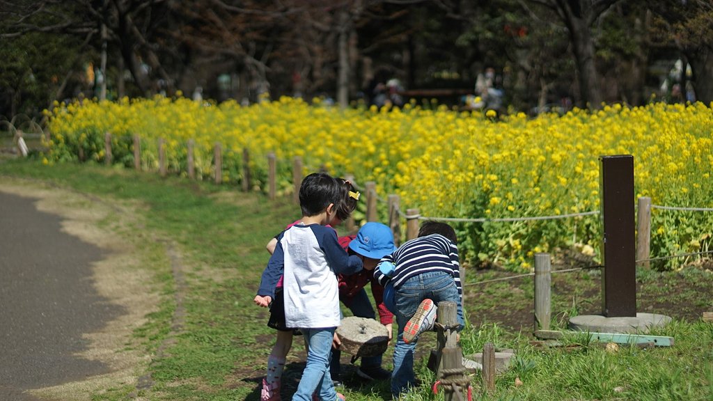 菜の花畑で・・・