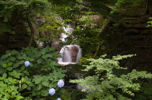 雨上り