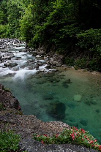 阿寺グリーン_2