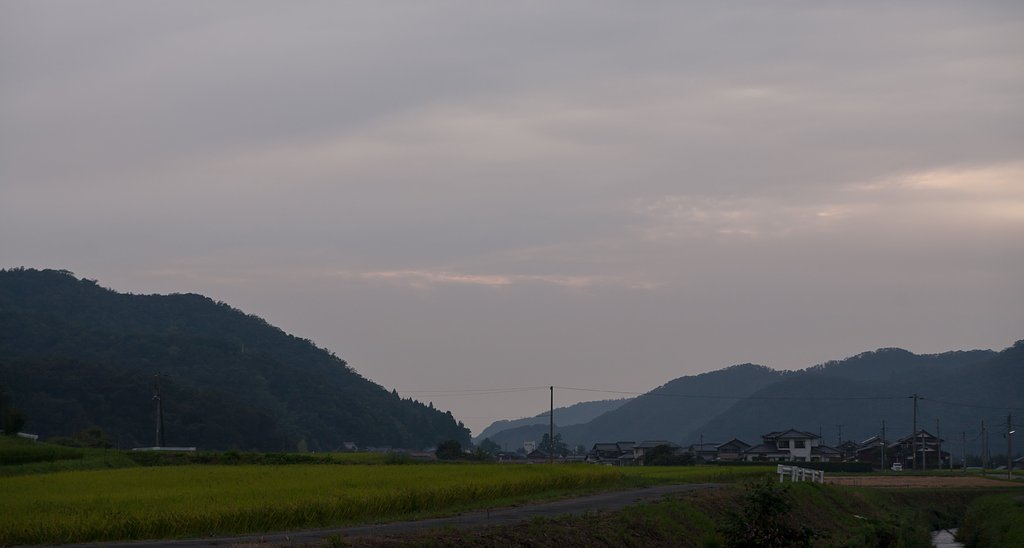 雨空に。