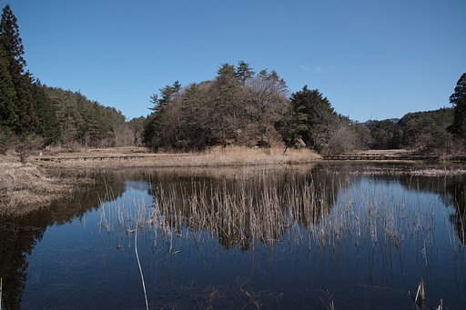 黒沢湿原