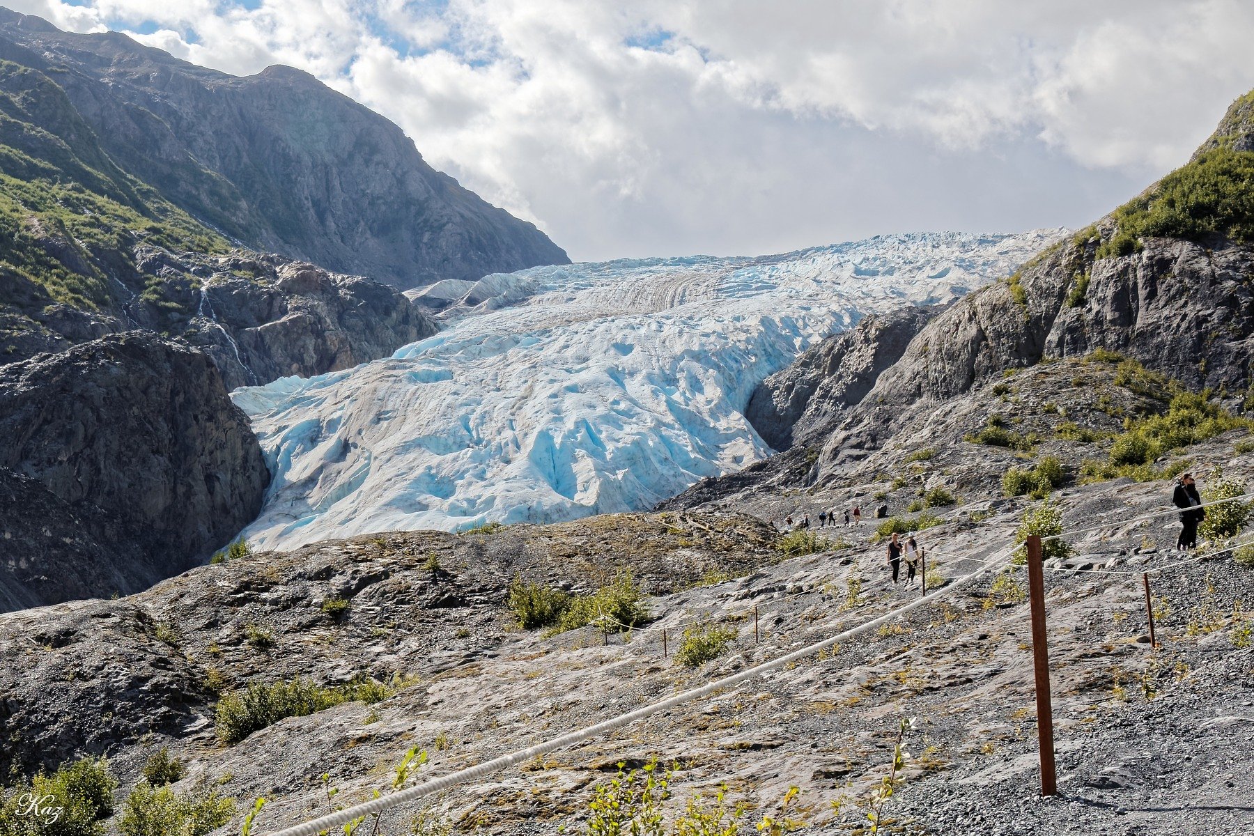 Exit Glacier 全景