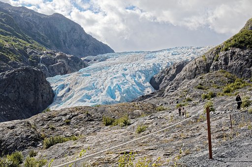 Exit Glacier 全景