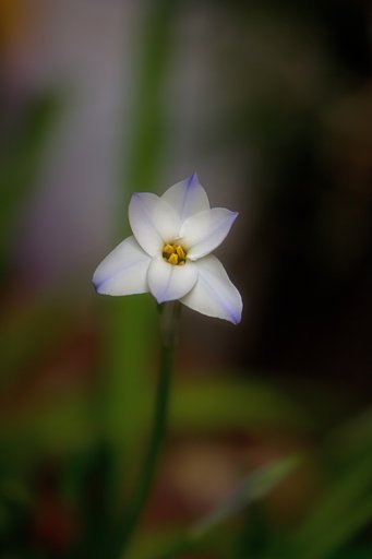3月18日の写真