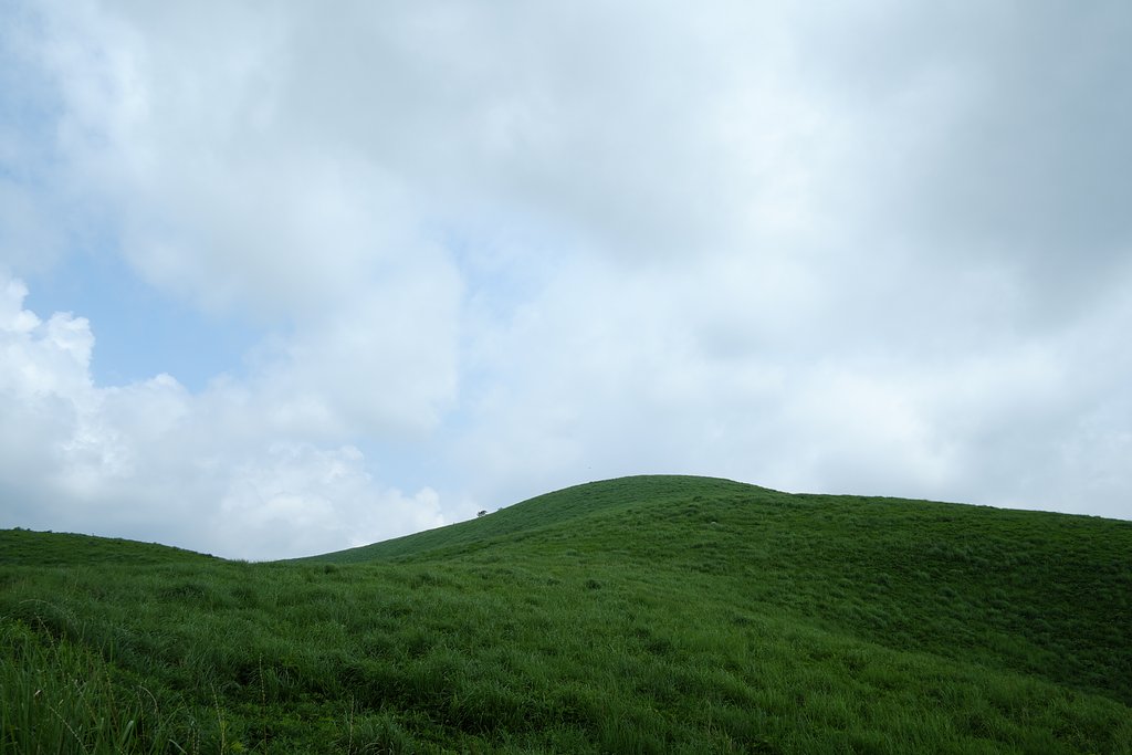 梅雨空の丘