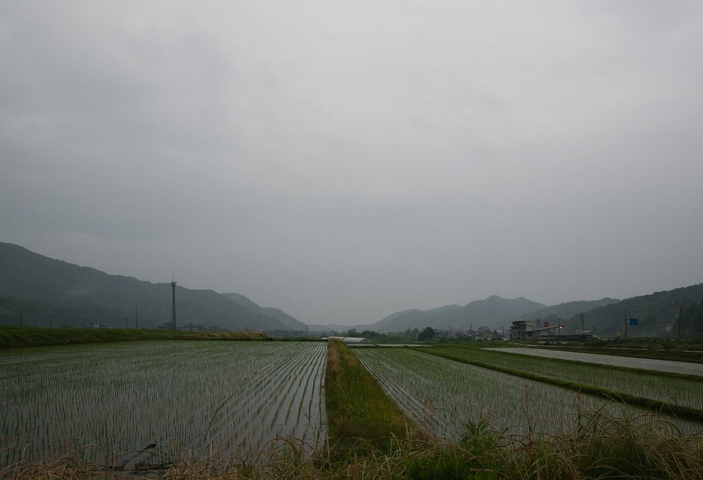 午後は雨降りに!