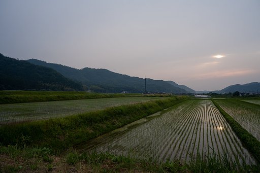 梅雨空。