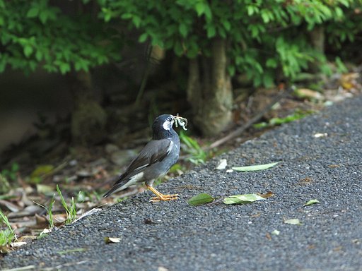 幸せをかみしめて