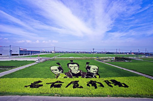 【広がり】　田んぼアート﻿