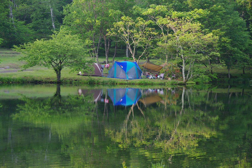 静かな朝