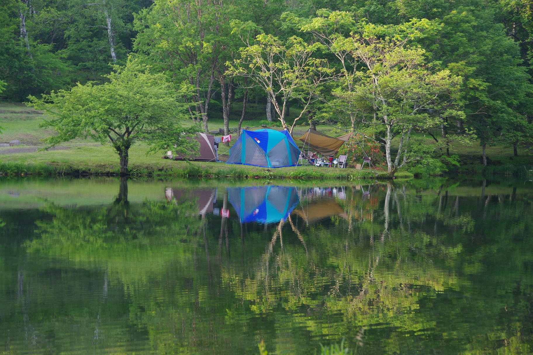 静かな朝